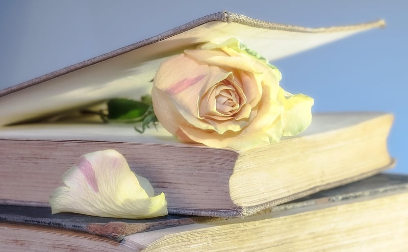 Upcycled books
